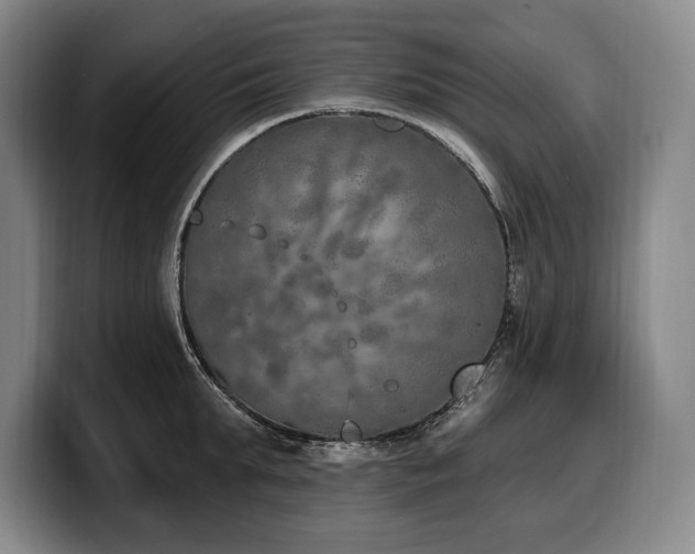 X0000100320903200806051514