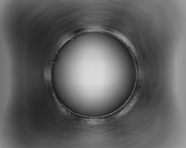 X0000100320905200806051514