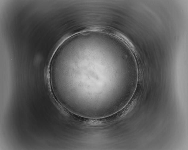 X0000100320907200806051514