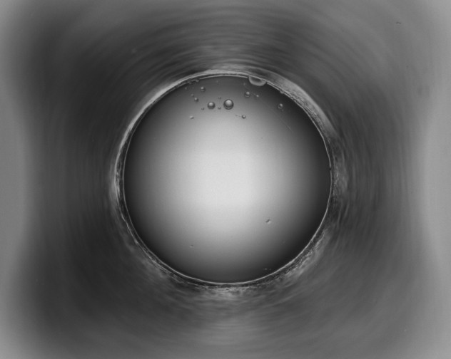 X0000100320908200806051514