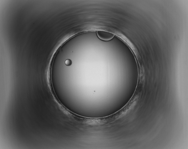 X0000100320909200806051514