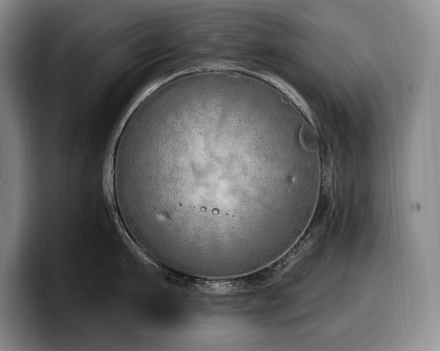 X0000100320911200806051514