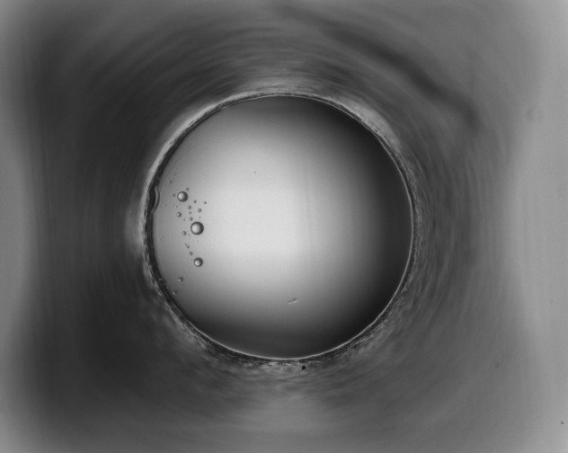 X0000100320912200806051514