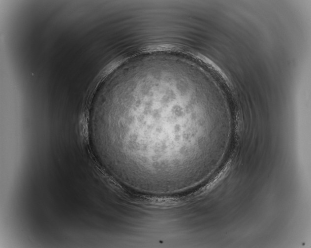 X0000100320921200806051514