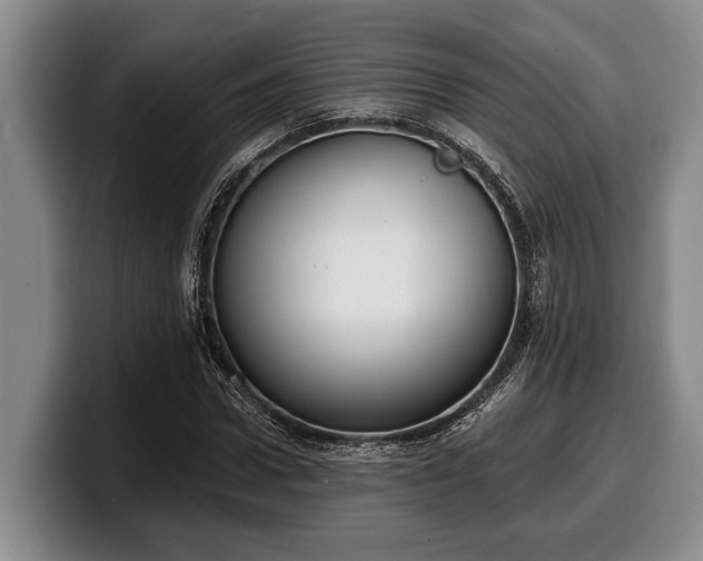 X0000100320922200806051514