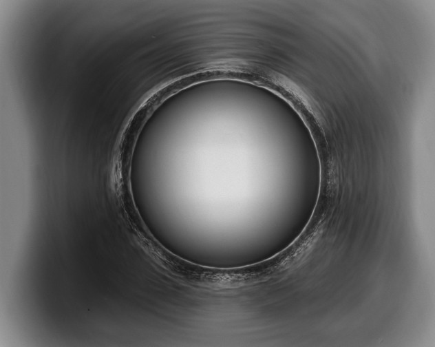 X0000100320923200806051514