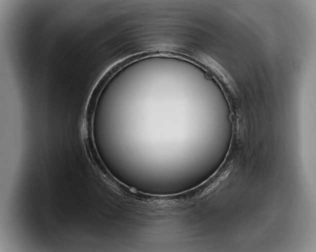 X0000100320924200806051514