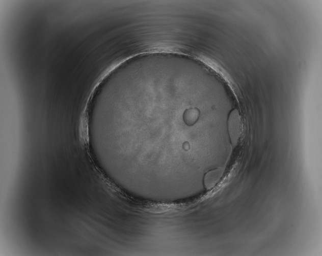 X0000100320925200806051514