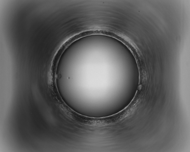 X0000100320927200806051514