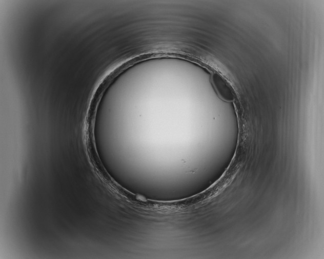 X0000100320928200806051514