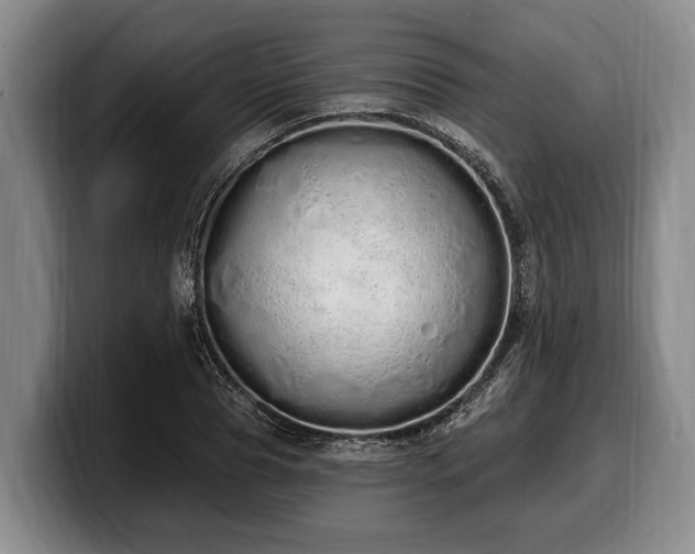 X0000100320929200806051514