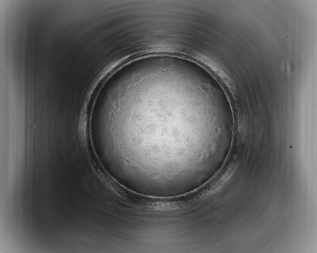 X0000100320933200806051514