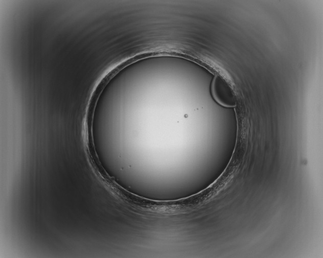 X0000100320936200806051514