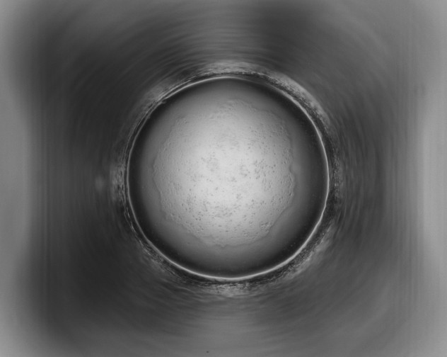 X0000100320937200806051514