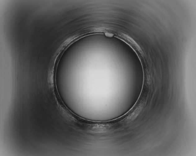 X0000100320938200806051514