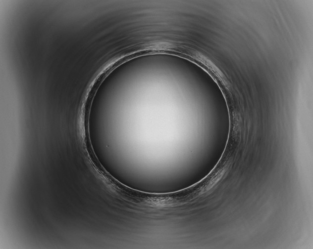 X0000100320939200806051514