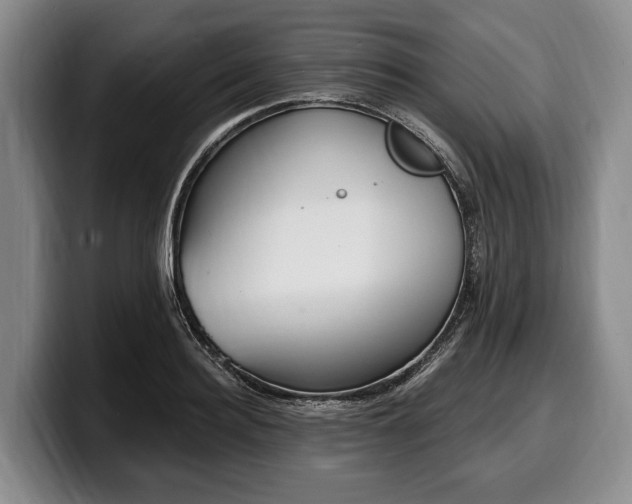 X0000100320940200806051514