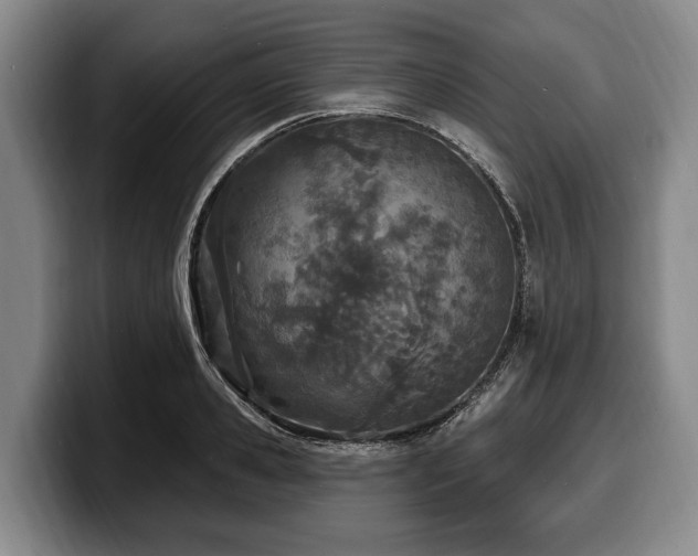 X0000100320941200806051514