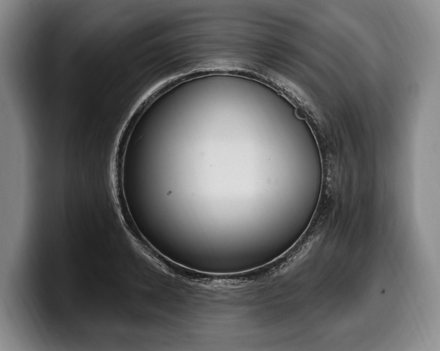 X0000100320942200806051514