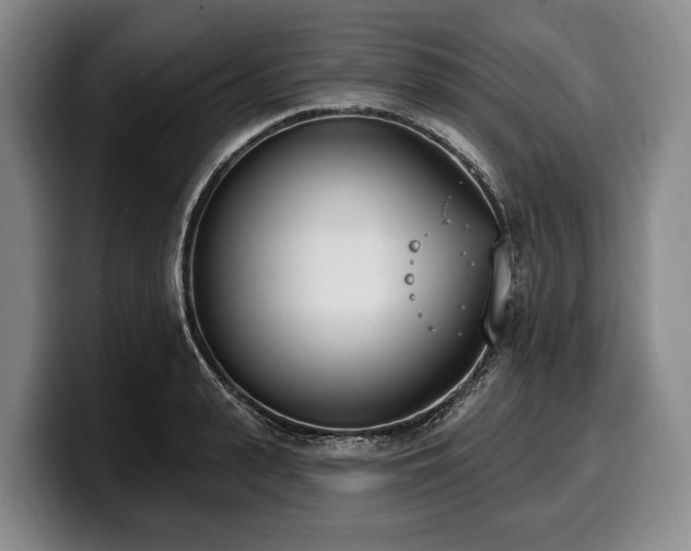 X0000100320943200806051514