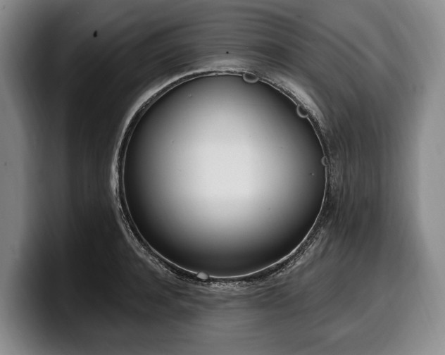 X0000100320944200806051514