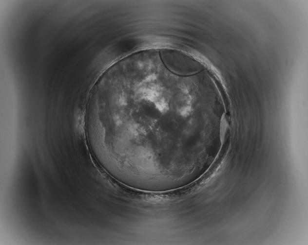 X0000100320945200806051514