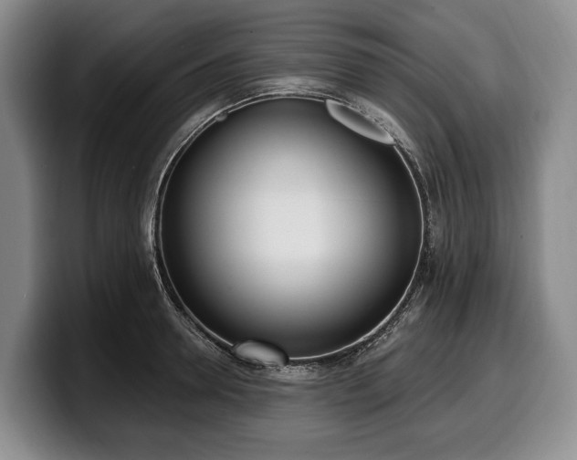 X0000100320946200806051514