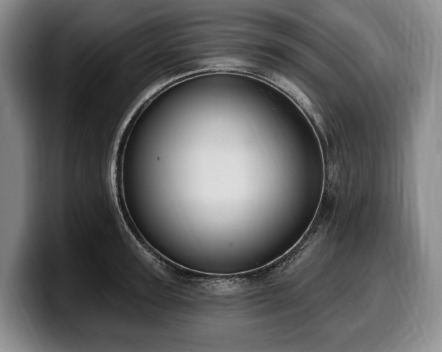 X0000100320947200806051514