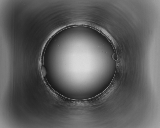 X0000100320951200806051514