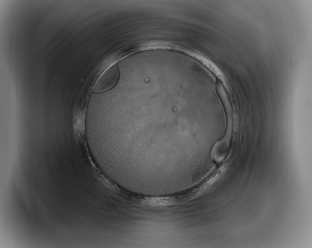 X0000100320953200806051514