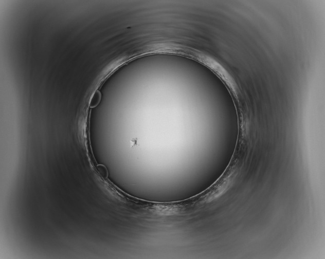 X0000100320954200806051514