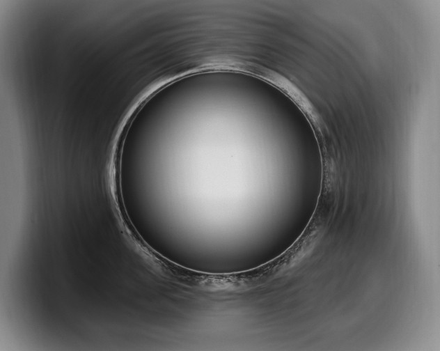 X0000100320955200806051514