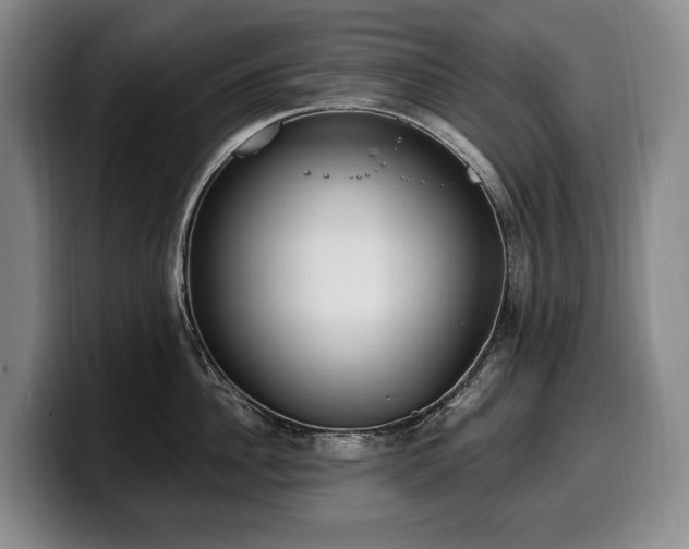 X0000100320956200806051514