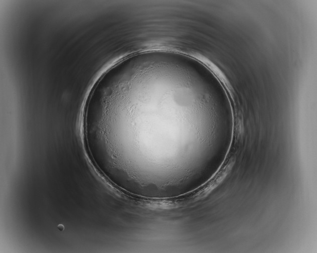 X0000100320957200806051514