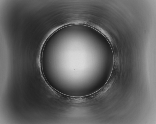 X0000100320959200806051514