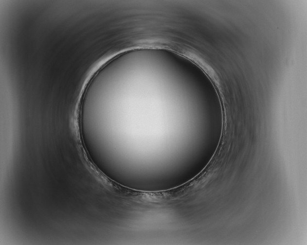 X0000100320960200806051514