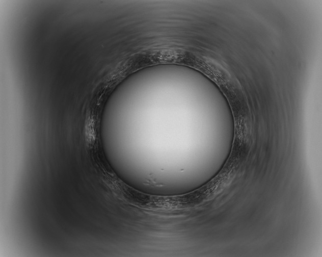 X0000100320962200806051513