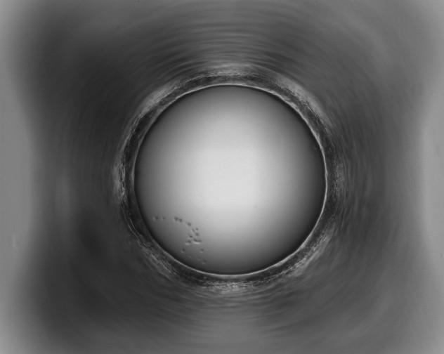 X0000100320970200806051513