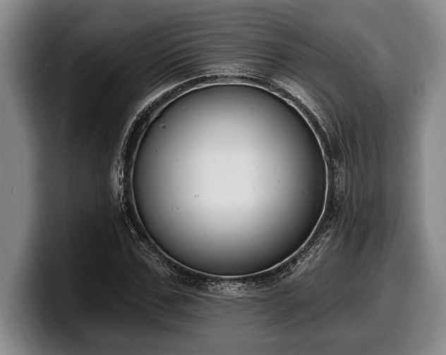 X0000100320971200806051513