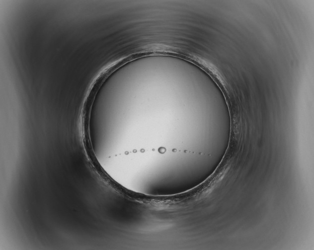 X0000100320987200806051513