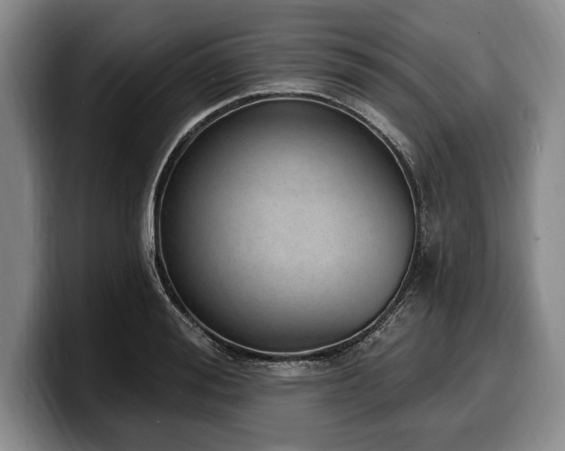 X0000100320988200806051513