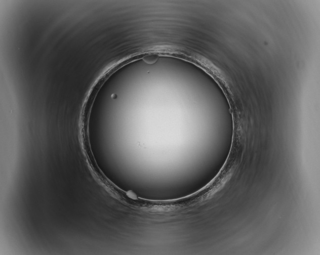 X0000100320989200806051513