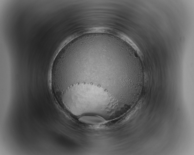 X0000100320994200806051513