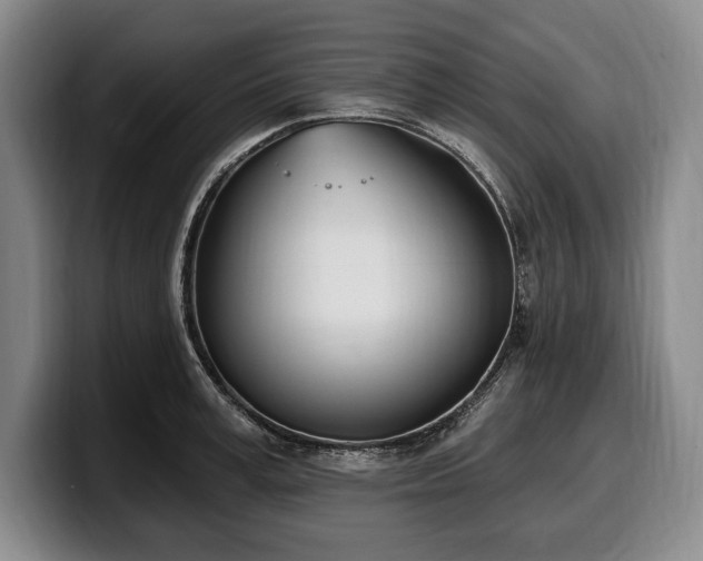 X0000100320995200806051513