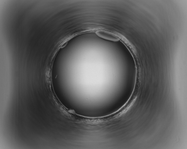 X0000100321001200806051513