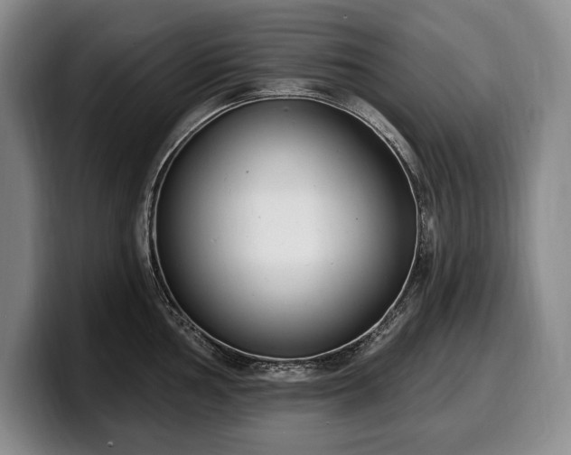 X0000100321002200806051513
