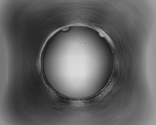 X0000100321004200806051513