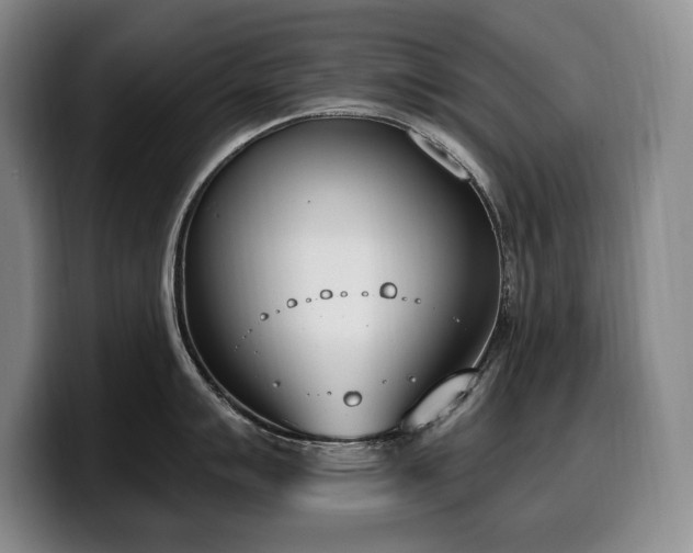 X0000100321007200806051513
