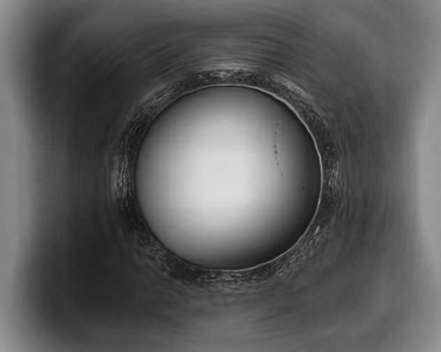 X0000100321014200806051512