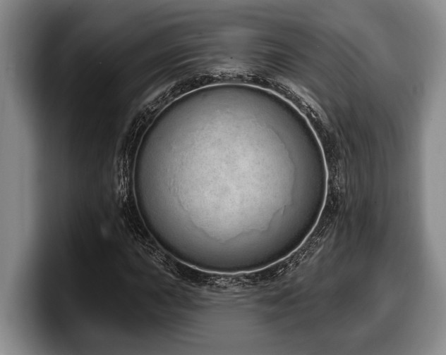 X0000100321015200806051512